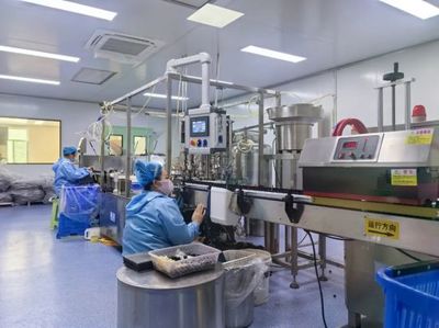 通化 人參產業“新新”向榮，西洋參成新亮點